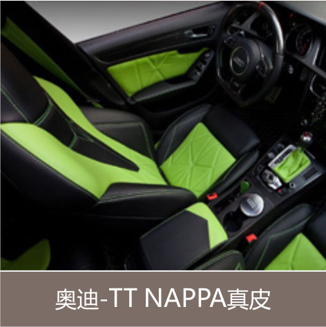奥迪-TT NAPPA真皮